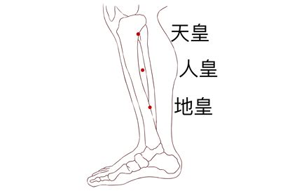 下三皇穴位|下三皇准确位置和功效